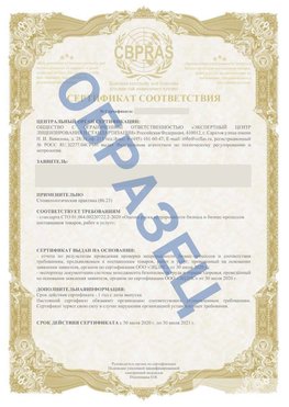 Образец Сертификат СТО 01.064.00220722.2-2020 Матвеев Курган Сертификат СТО 01.064.00220722.2-2020 